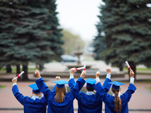 Các trường đại học